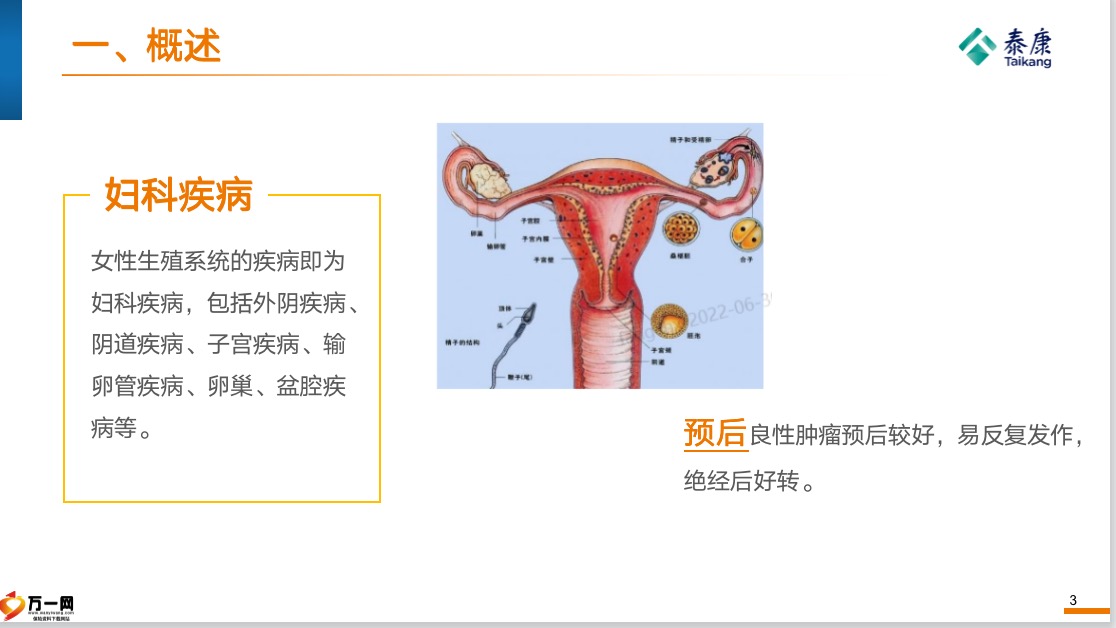 泰康女性常见疾病核保概述评估要点乳腺疾病分类与分级疾病评估32页.pptx