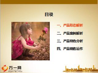 民生富贵鑫裕保险计划双尊版产品形态案例特色销售39页.ppt