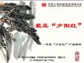 华夏人寿夕阳红产品解析35页.ppt