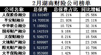 湖南省2018年前2月财险公司总保费排行榜.xls