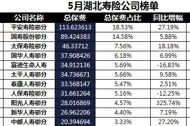 湖北省2018年前5月寿险公司总保费排行榜.xls