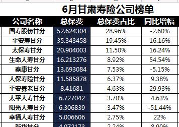 甘肃省2018年前6月寿险公司总保费排行榜.xls