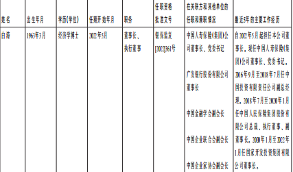 2023年中国人寿保险公司偿付能力报告摘要45页.pdf