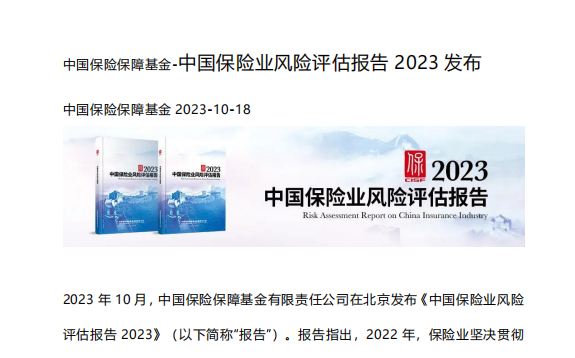 2023中国保险业风险评估报告9页.pdf