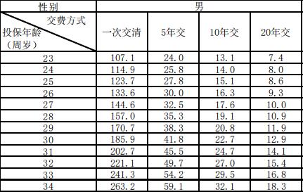 新华人寿珍守护定期寿险条款费率产品说明.zip